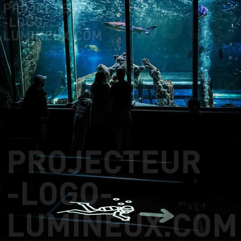 Valgustatud noolemärgid suunavad akvaariumi, muuseumi ja näituse külastust