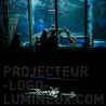 Signalétique flèche lumineuse sens visite