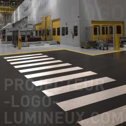Luminous pedestrian crossing ground by projection