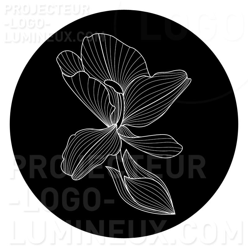 Gobo Fleur orchidée