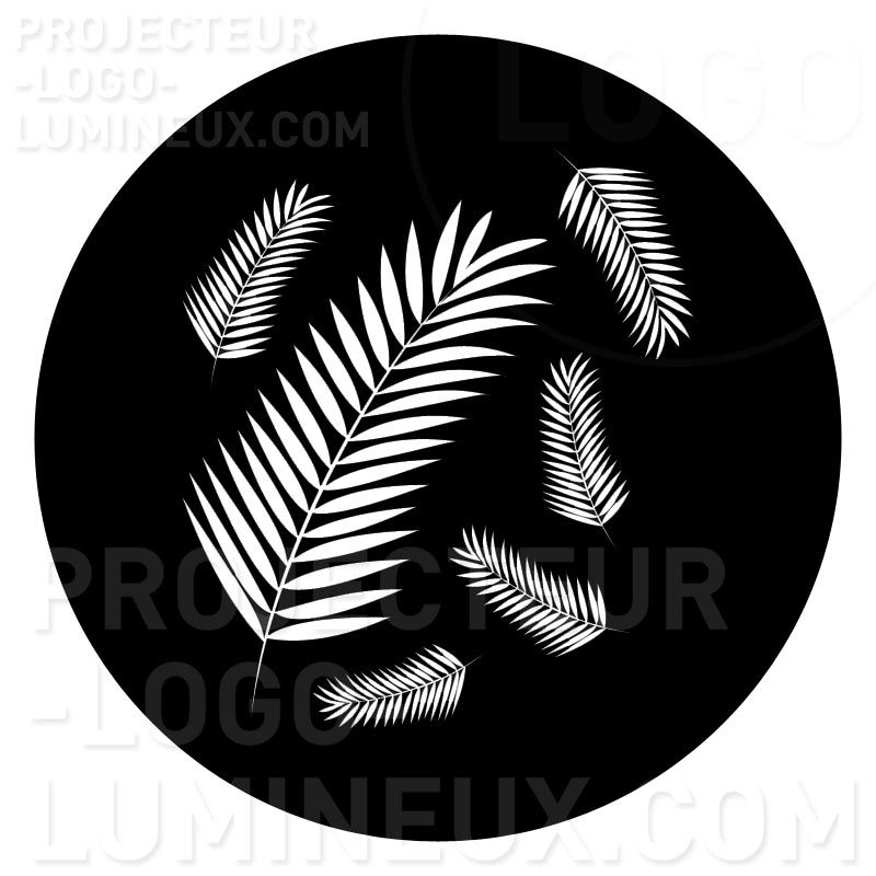 Gobo Palm Leaves Gobo Palm Leaves