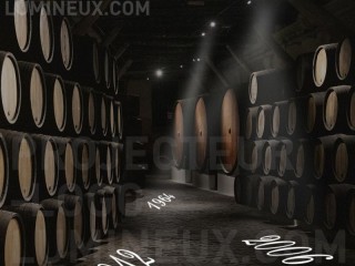 Light projection cellar vintages